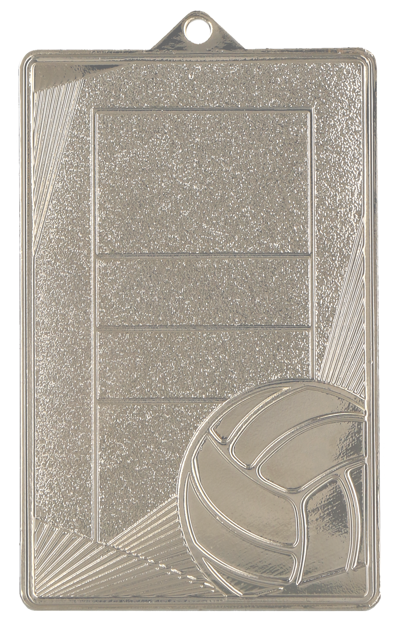 Volleyball Stahlmedaille Silber