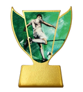 Metalltrophäe Bester Torschütze